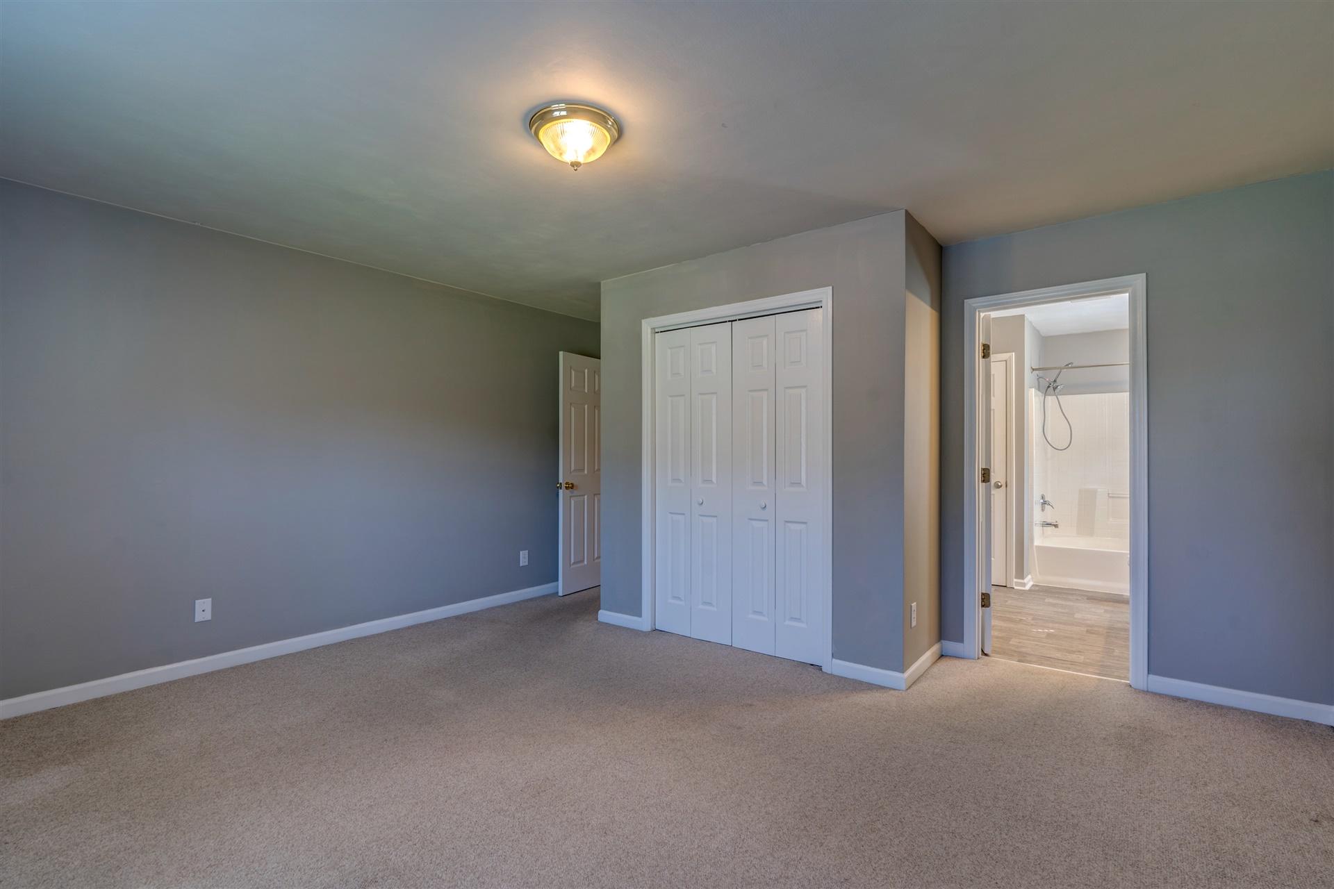 436 Scalybark Drive Blue Ridge, VA 24064 - Photo 21 of 35 Double door closet