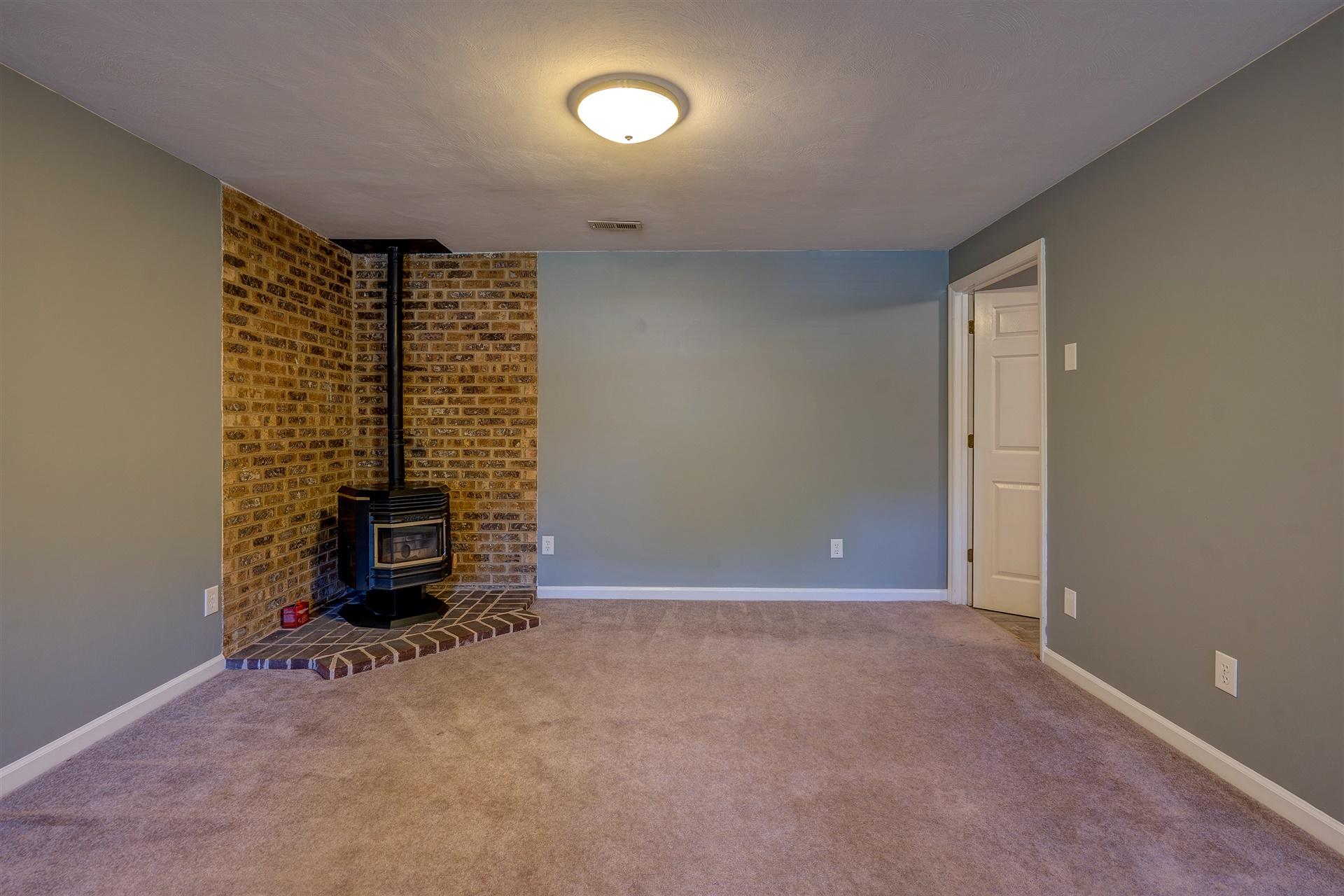 436 Scalybark Drive Blue Ridge, VA 24064 - Photo 29 of 35 Pellet stove