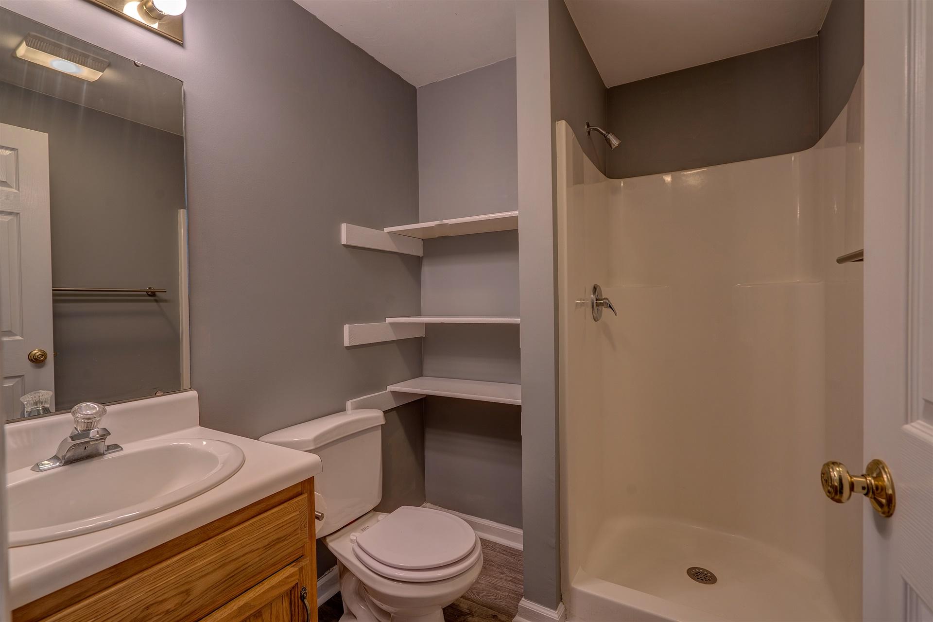 436 Scalybark Drive Blue Ridge, VA 24064 - Photo 32 of 35 Lower full bath