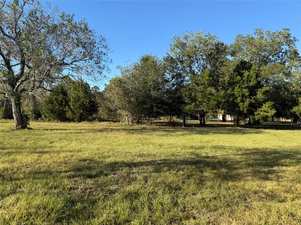 a view of a field with trees