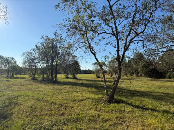 a view of field with trees in the background