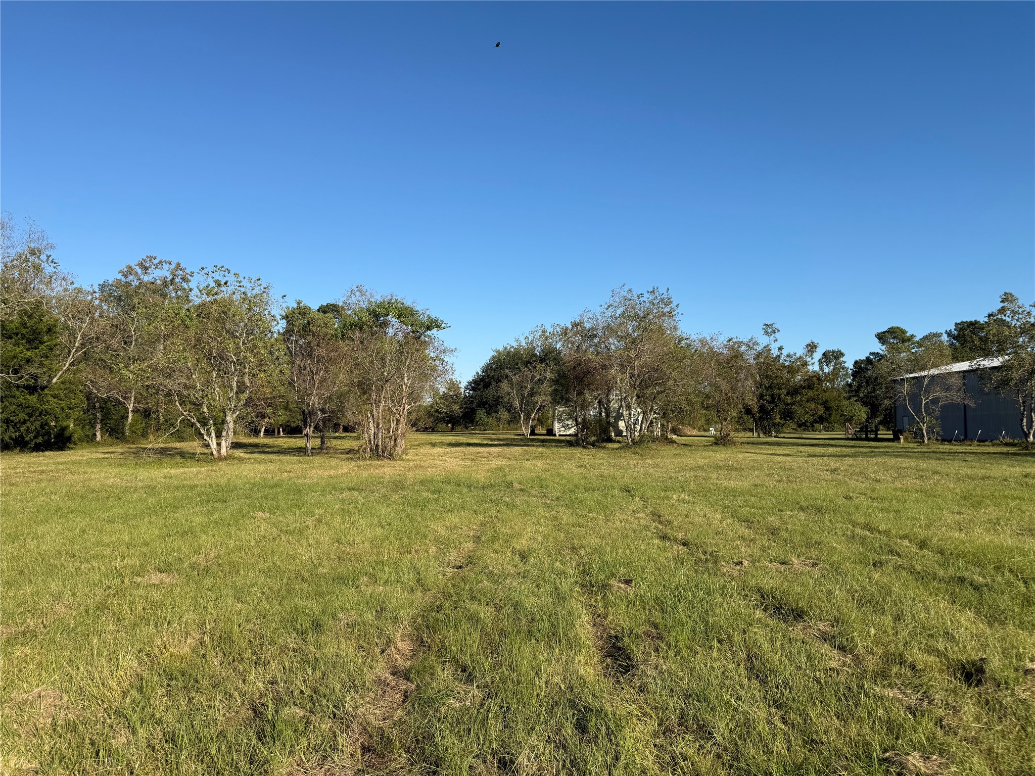 10534 Hufsmith Road Tomball, TX 77375 - Photo 32 of 34 a view of field with trees in the background