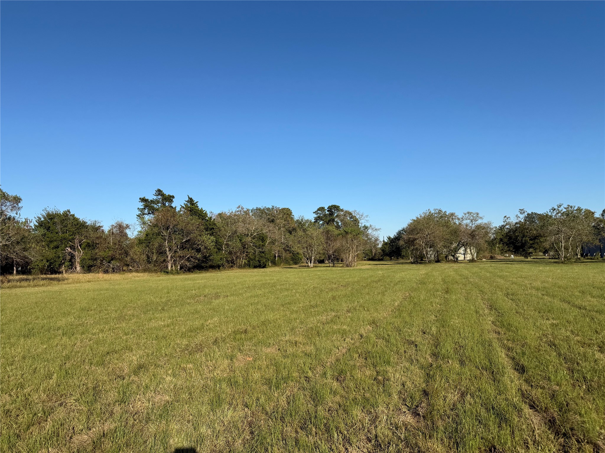 10534 Hufsmith Road Tomball, TX 77375 - Photo 5 of 34 a view of an outdoor space and a yard