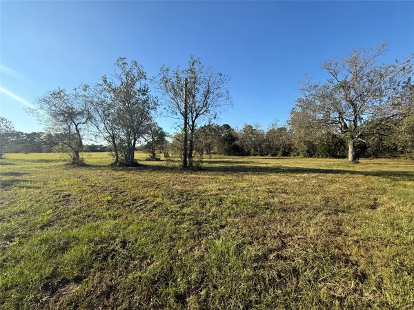 a view of outdoor space with trees all around
