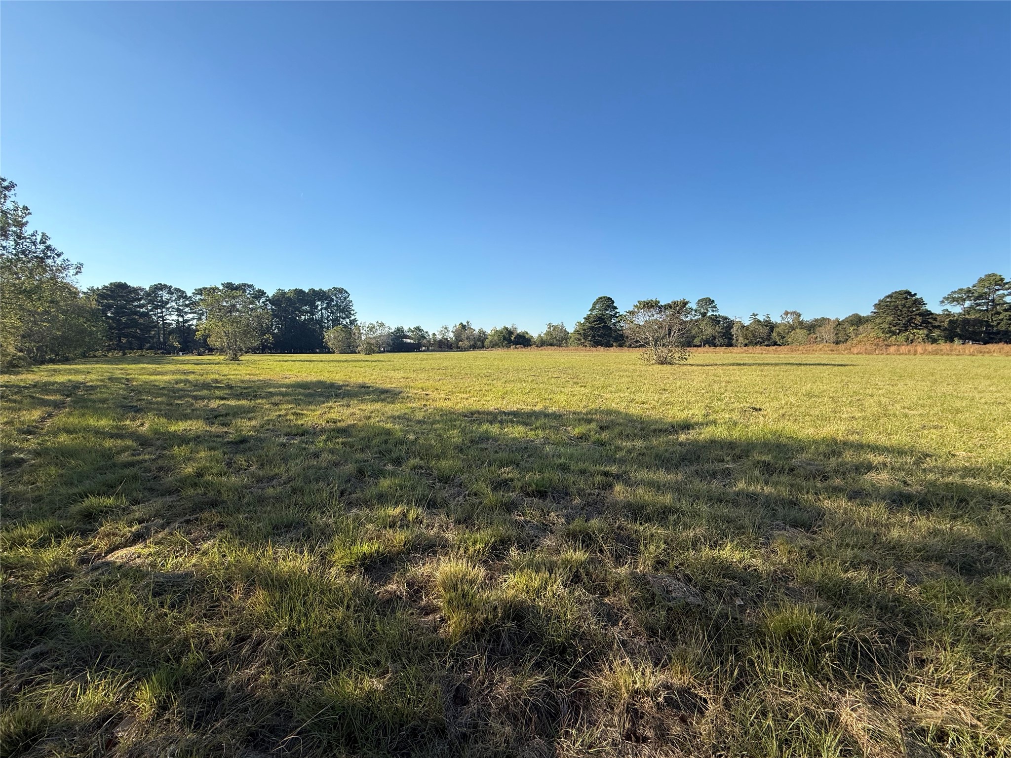 10534 Hufsmith Road Tomball, TX 77375 - Photo 7 of 34 a view of an ocean from a city