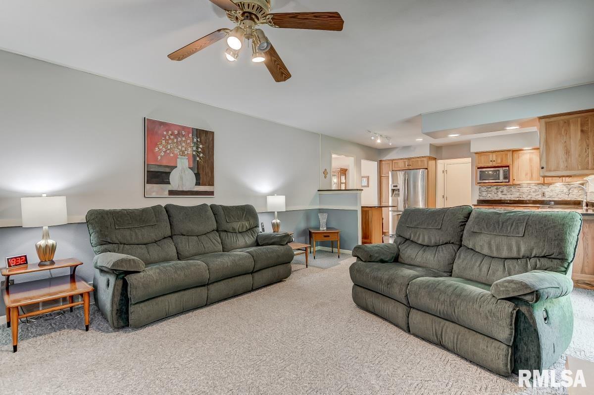 113 Deer Creek Road Rochester, IL 62563 - Photo 17 of 44