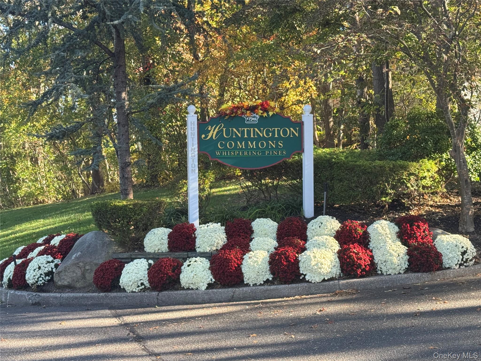 a park view with tree s