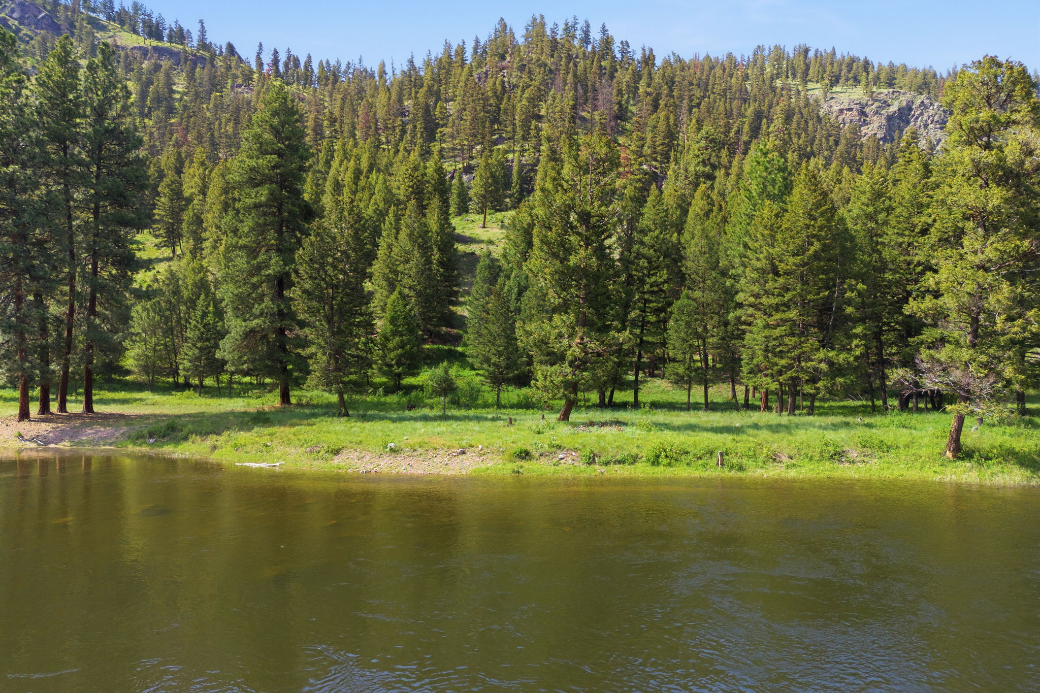 2 Big Waters Ranch Seeley Lake, MT 59868 - Photo 4 of 33 Gallery Image 4