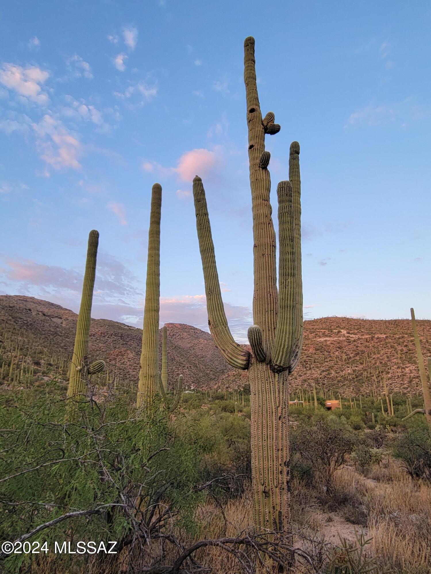 Tbd North Wentworth Road Tucson, AZ 85749 - Photo 14 of 18 Gallery Image 14