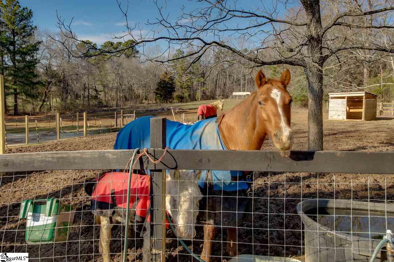 180 Motlow School Road Campobello, SC 29322 - Photo 29 of 36