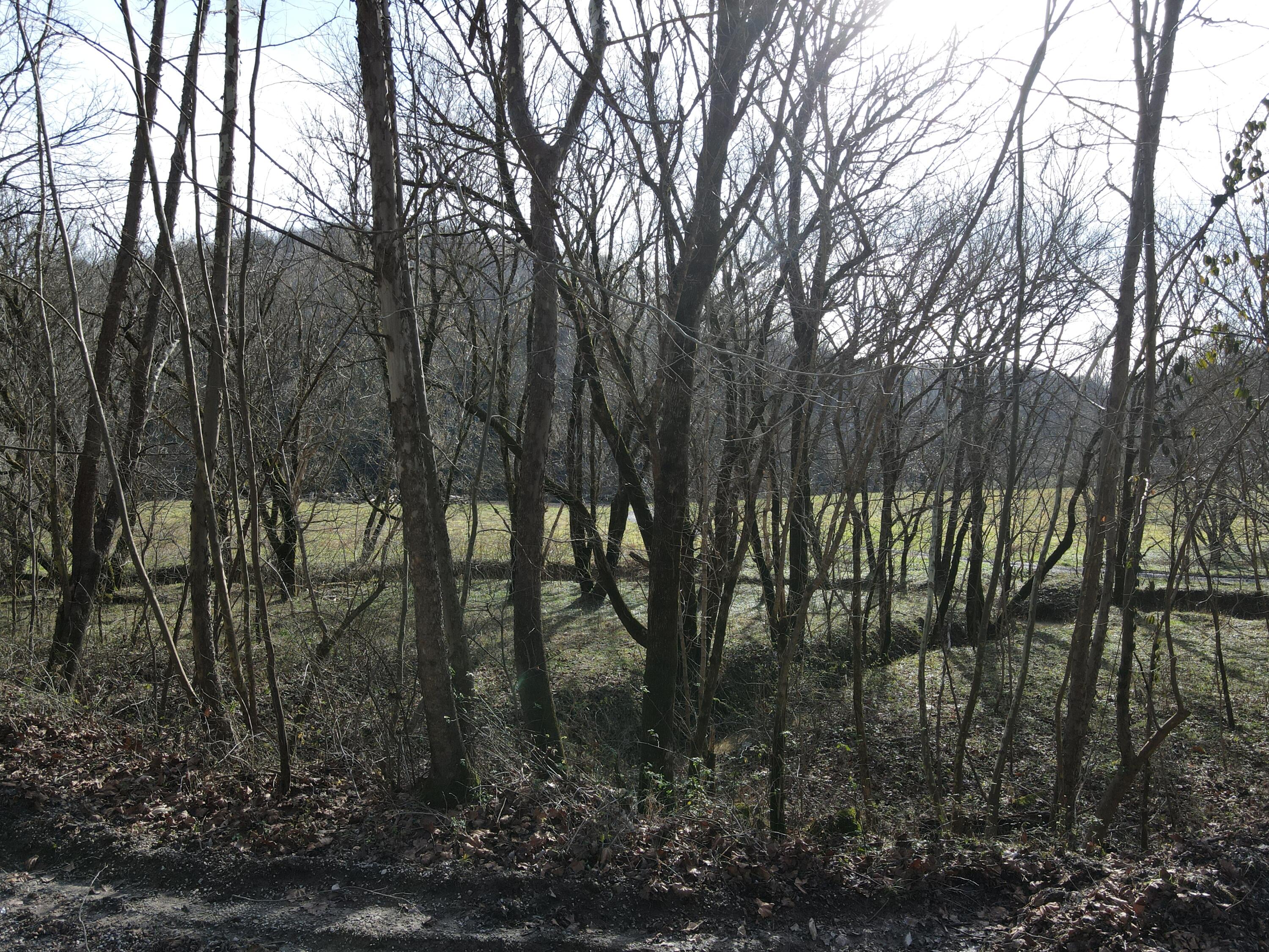 999 Mullins Station Road Livingston, KY 40445 - Photo 25 of 26 DJI_0498