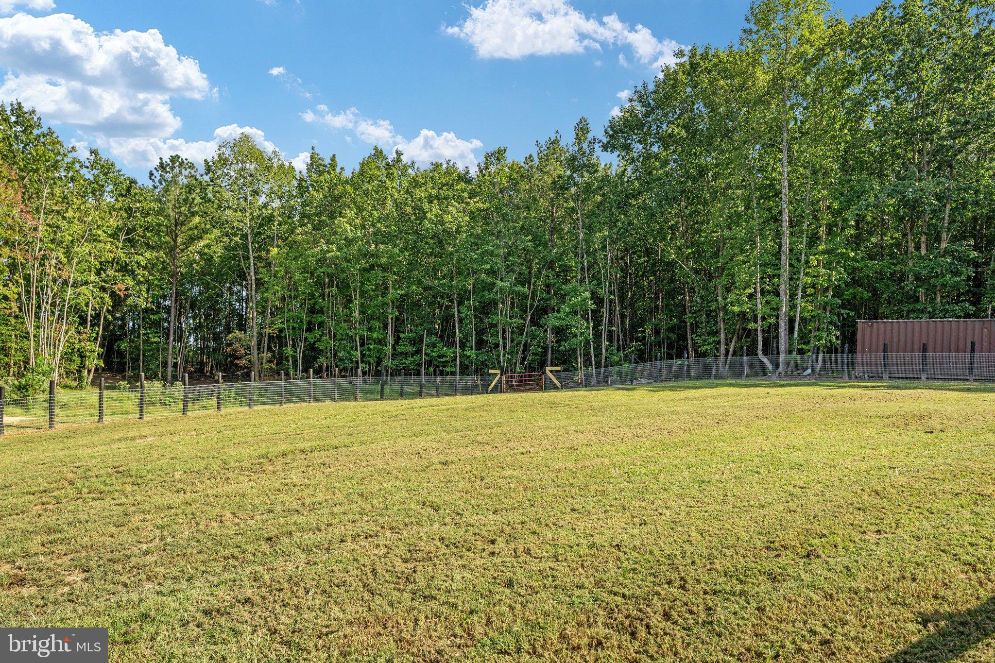0 Flat Iron Road Montross, VA 22520 - Photo 47 of 116 Serene green space bordered by lush woods.