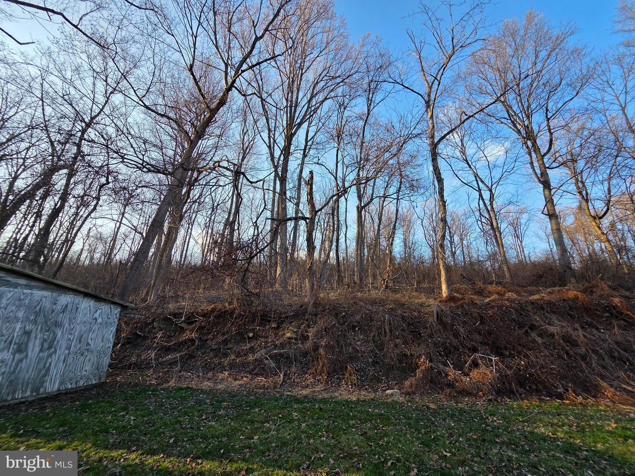 1008 Marticville Road Pequea, PA 17565 - Photo 27 of 27 a view of backyard with green space