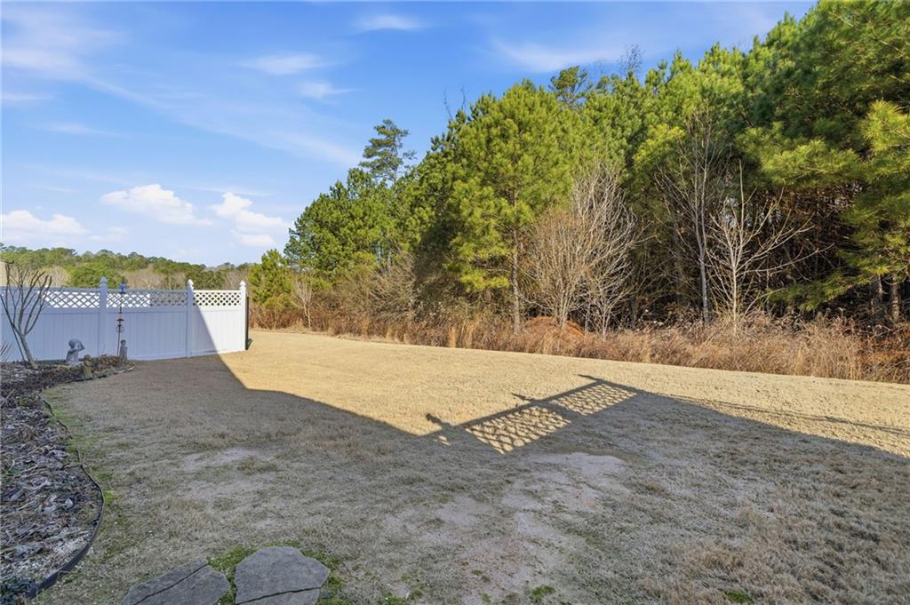 133 Point View Drive Canton, GA 30114 - Photo 20 of 25