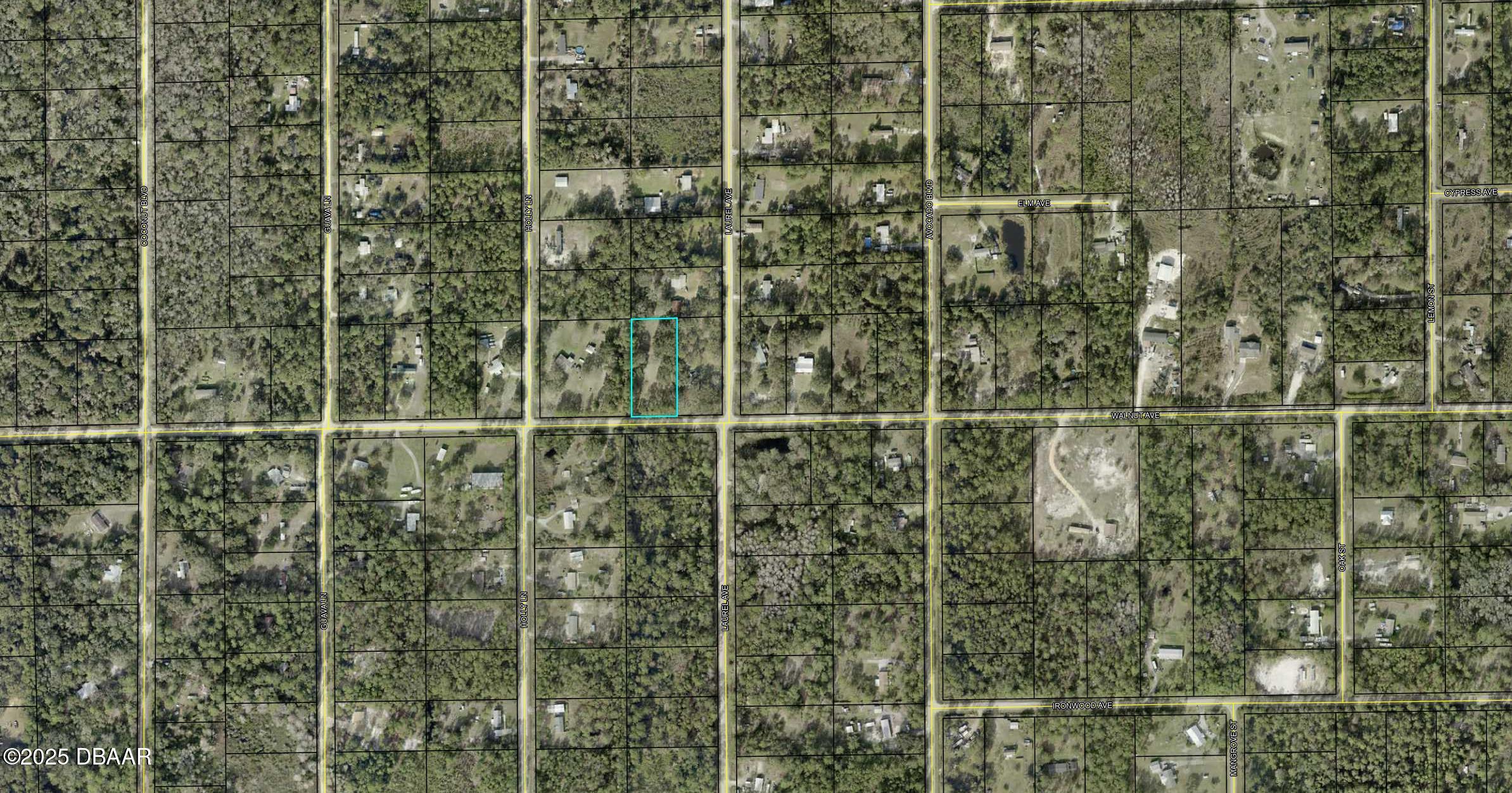 6124 Walnut Avenue Bunnell, FL 32110 - Photo 3 of 3 a bathroom with a shower