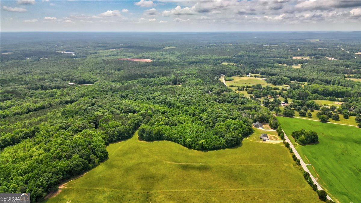 48.04-acres Caldwell Road Zebulon, GA 30295 - Photo 20 of 23 a view of a city