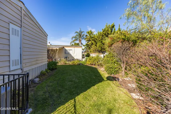 a view of a yard with plants and large trees