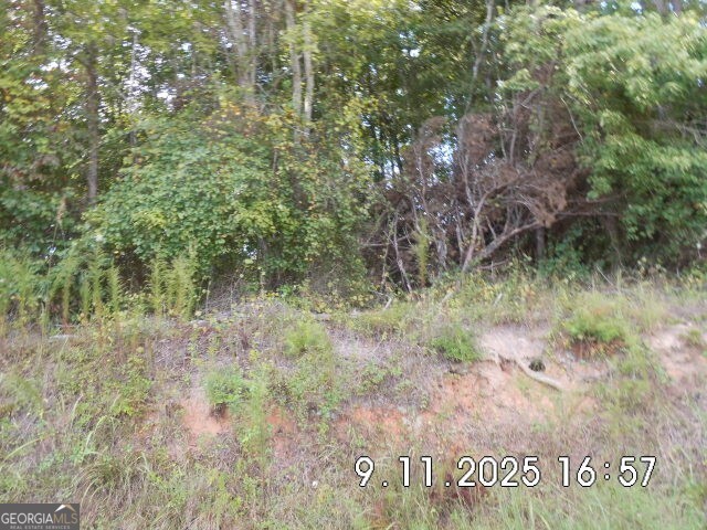 8.5 Smith Loop Demorest, GA 30535 - Photo 4 of 9 a view of a field