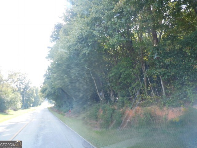 8.5 Smith Loop Demorest, GA 30535 - Photo 5 of 9 a view of a yard with a tree