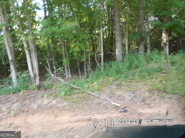 8.5 Smith Loop Demorest, GA 30535 - Photo 6 of 9 a view of outdoor space and green space