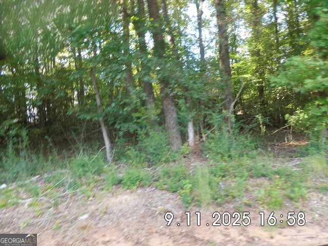 8.5 Smith Loop Demorest, GA 30535 - Photo 7 of 9 a view of a lush green forest