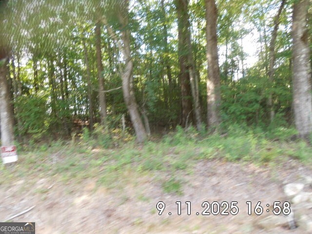 8.5 Smith Loop Demorest, GA 30535 - Photo 8 of 9 a view of a forest