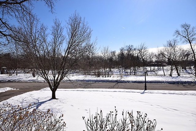 180 Fairbank Road Riverside, IL 60546 - Photo 23 of 25 a view of a yard with trees