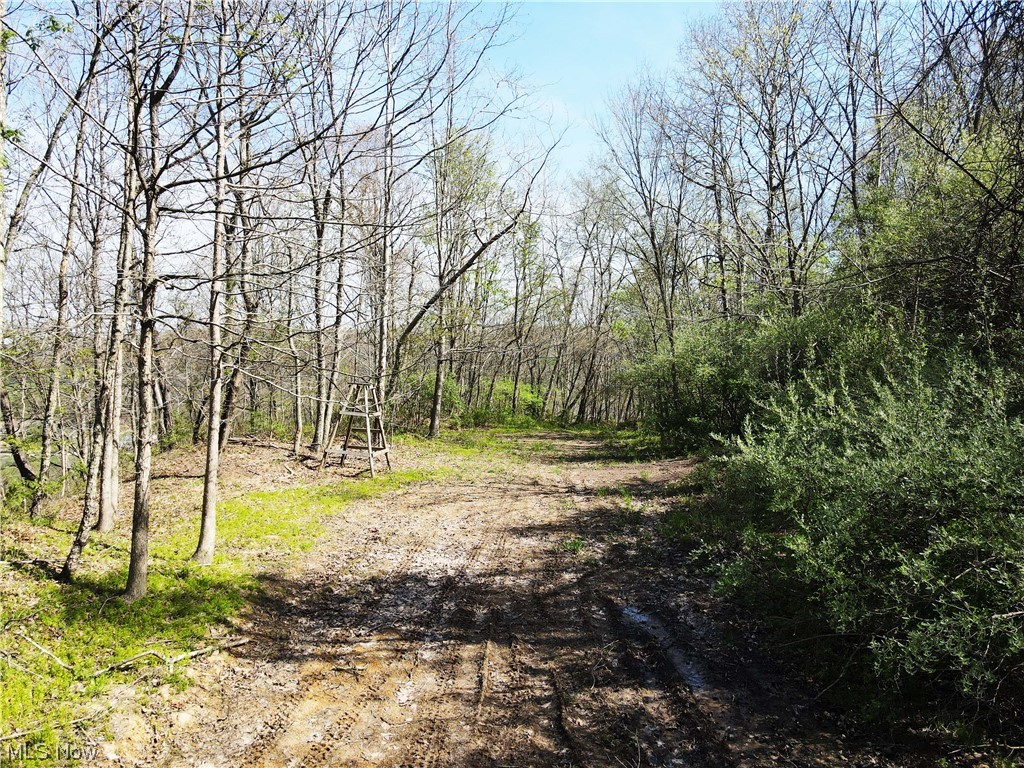 Hootowl Ridge Road Caldwell, OH 43724 - Photo 3 of 30 Gallery Image 3