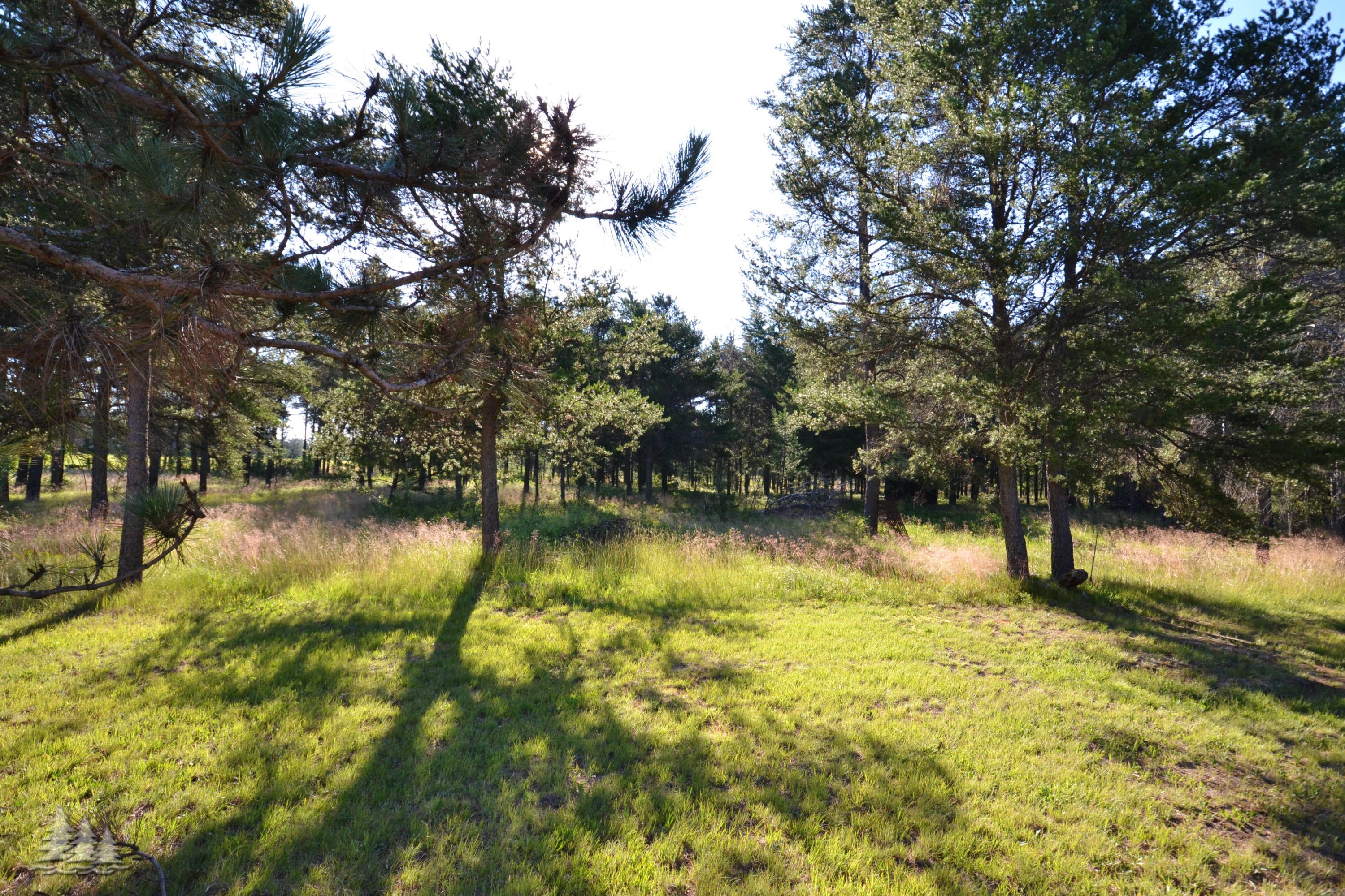 7350 Lovells Road Grayling, MI 49738 - Photo 8 of 14 Gallery Image 8