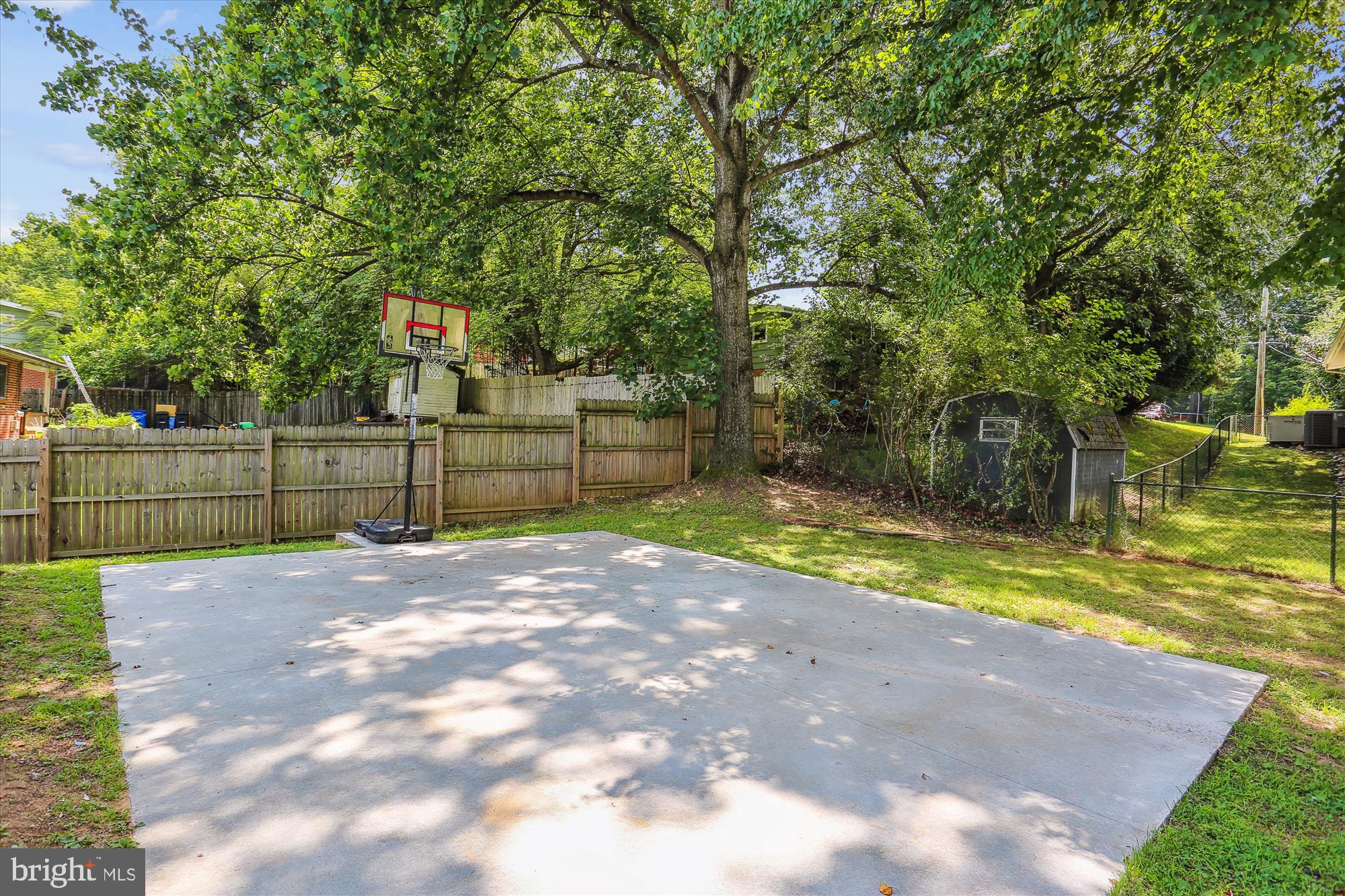 11524 Charlton Drive Silver Spring, MD 20902 - Photo 59 of 64 a view of a yard with of trees