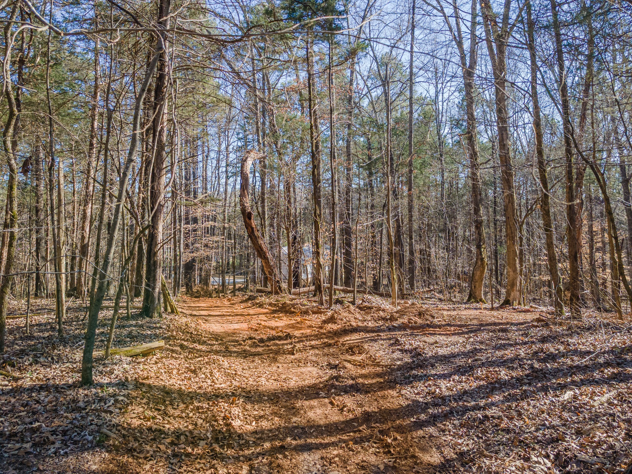 118 Long Road Charlotte, TN 37036 - Photo 54 of 75 Gallery Image 54