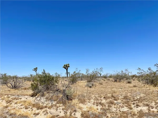 $30,000 | 0 Nevada Road, Phelan, CA 92371