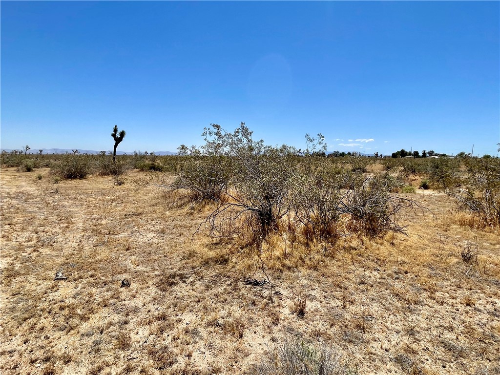 0 Nevada Road Phelan, CA 92371 - Photo 12 of 23