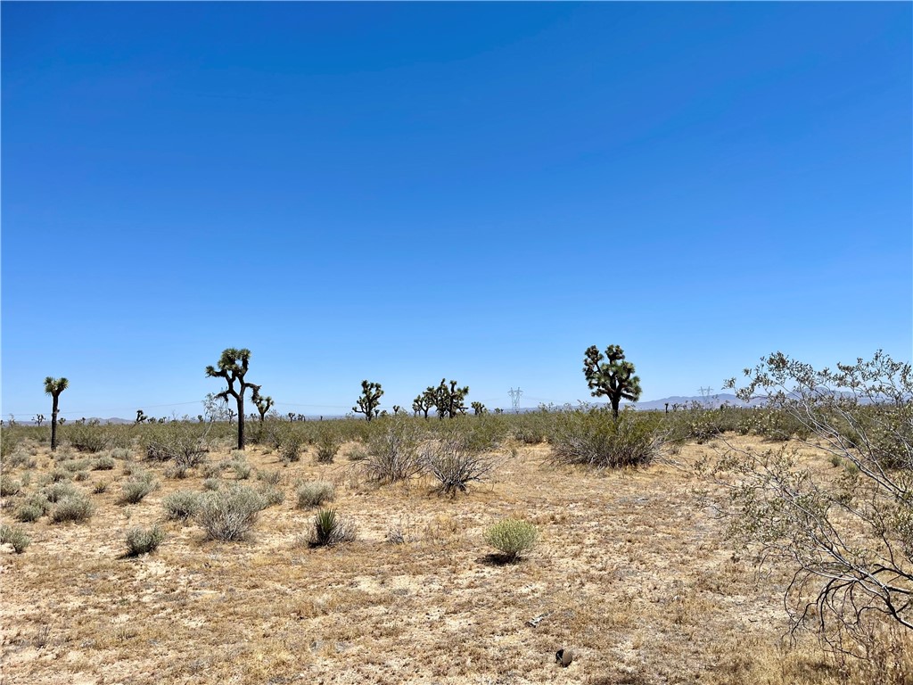 0 Nevada Road Phelan, CA 92371 - Photo 3 of 23