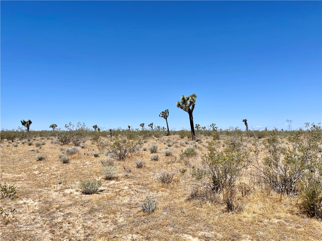 0 Nevada Road Phelan, CA 92371 - Photo 4 of 23