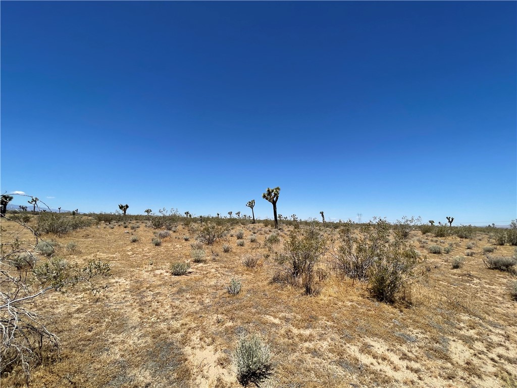 0 Nevada Road Phelan, CA 92371 - Photo 5 of 23