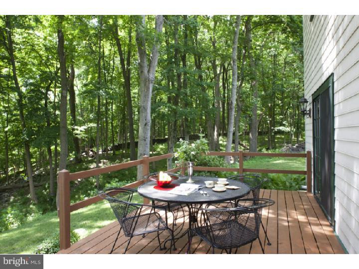178 Cafferty Road Pipersville, PA 18947 - Photo 16 of 23 Deck