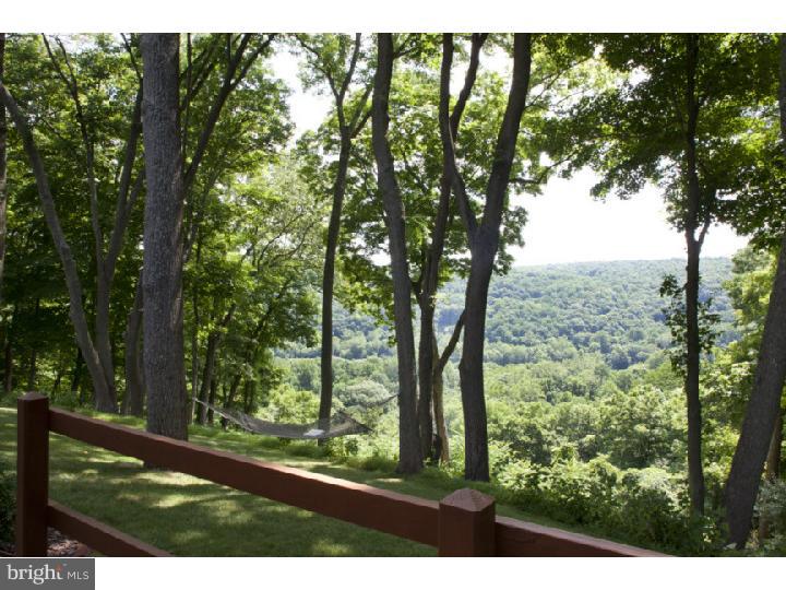 178 Cafferty Road Pipersville, PA 18947 - Photo 17 of 23 View in Back