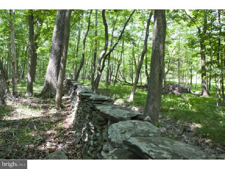 178 Cafferty Road Pipersville, PA 18947 - Photo 21 of 23 View