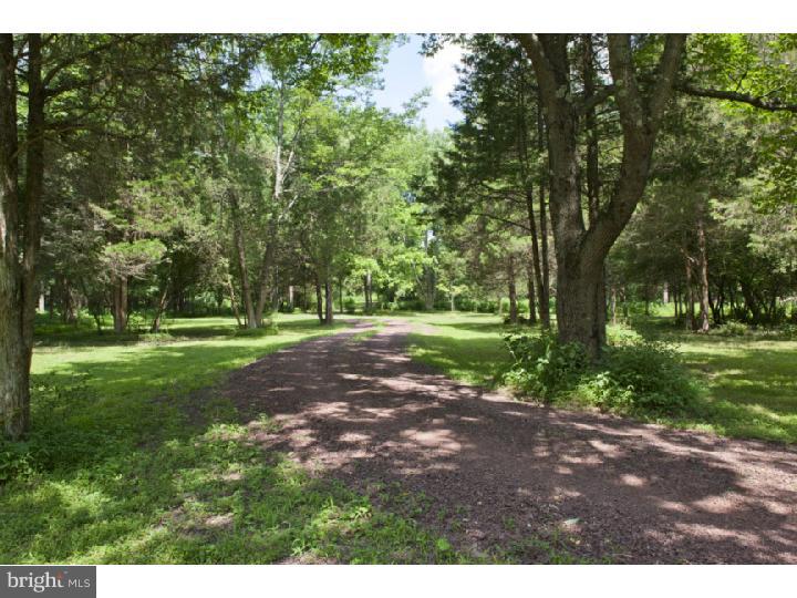 178 Cafferty Road Pipersville, PA 18947 - Photo 23 of 23 Driveway