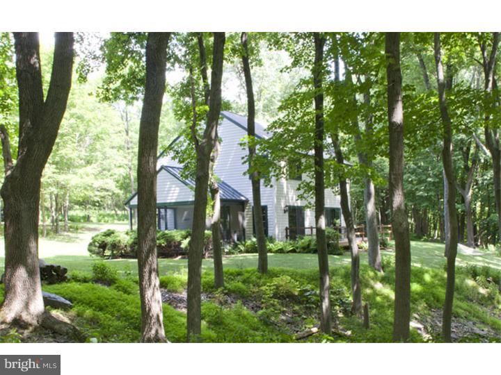 178 Cafferty Road Pipersville, PA 18947 - Photo 4 of 23 Exterior Side