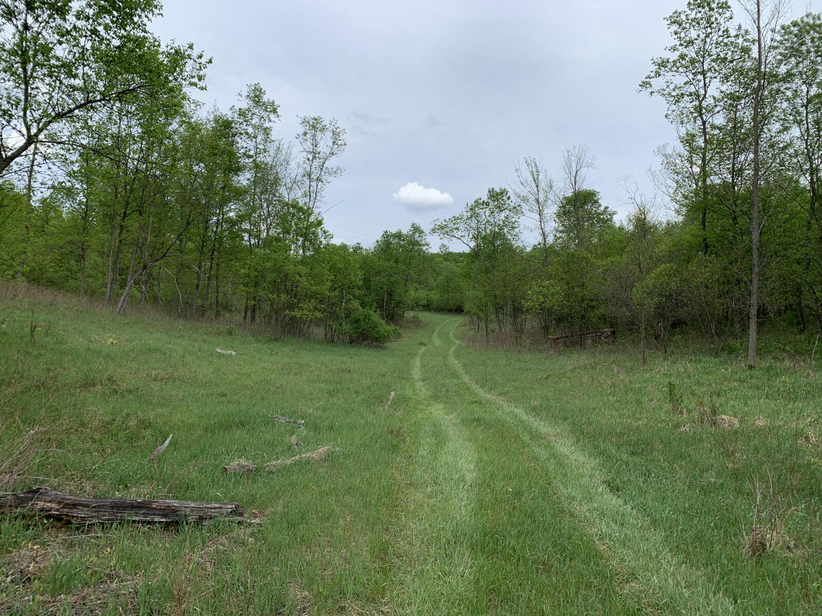 40 South 17 Road Cadillac, MI 49601 - Photo 3 of 33 IMG_4166