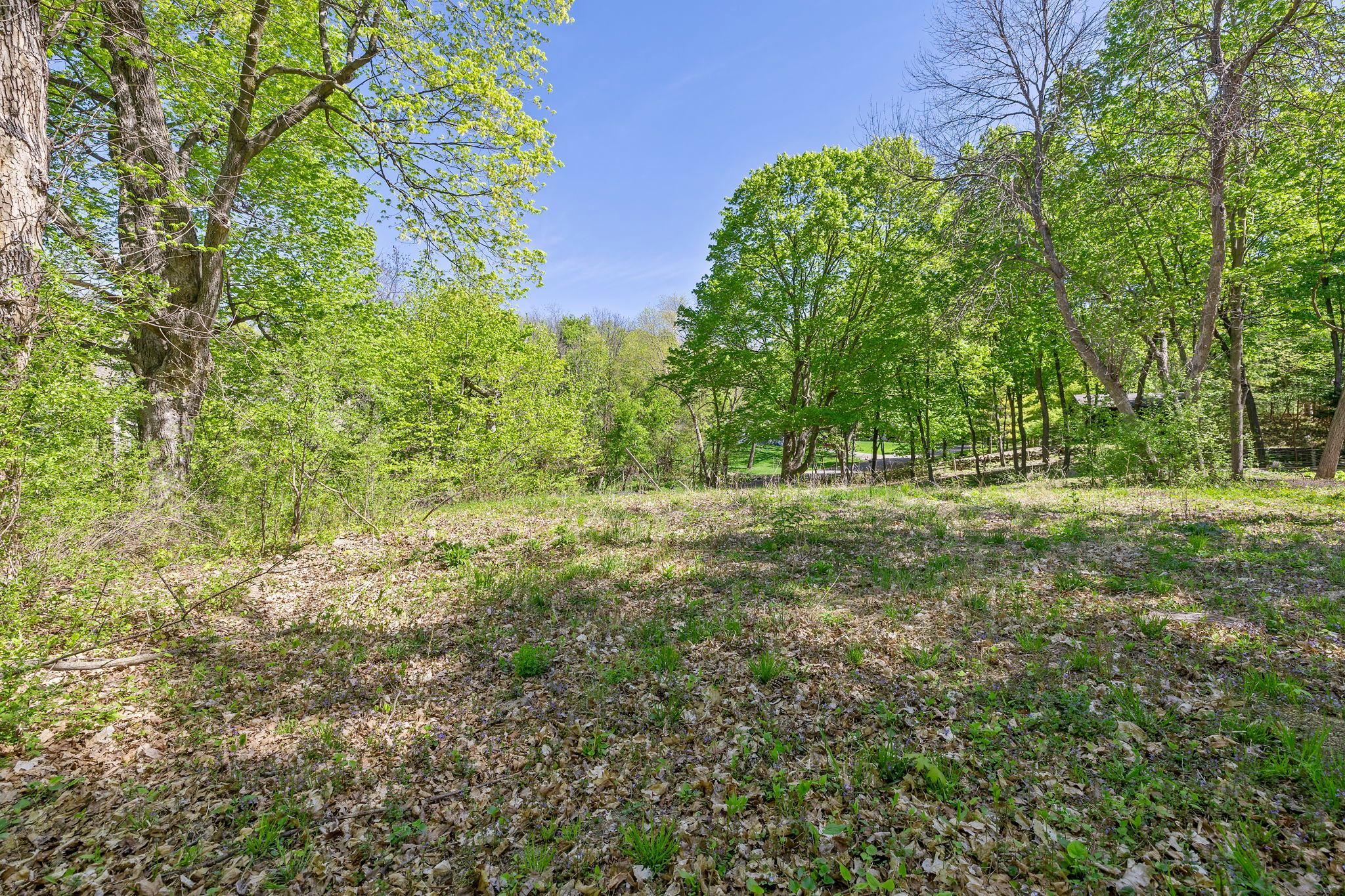 1373 Rest Point Road Orono, MN 55364 - Photo 7 of 10