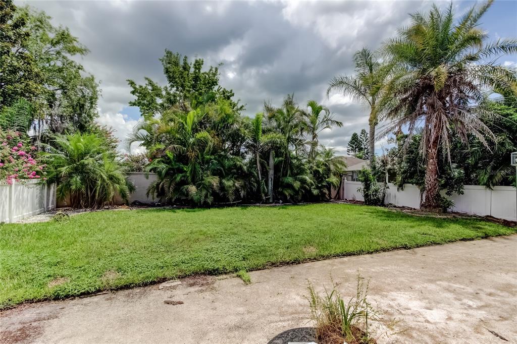 10708 Northridge Court Trinity, FL 34655 - Photo 49 of 58 a view of a yard with a palm tree
