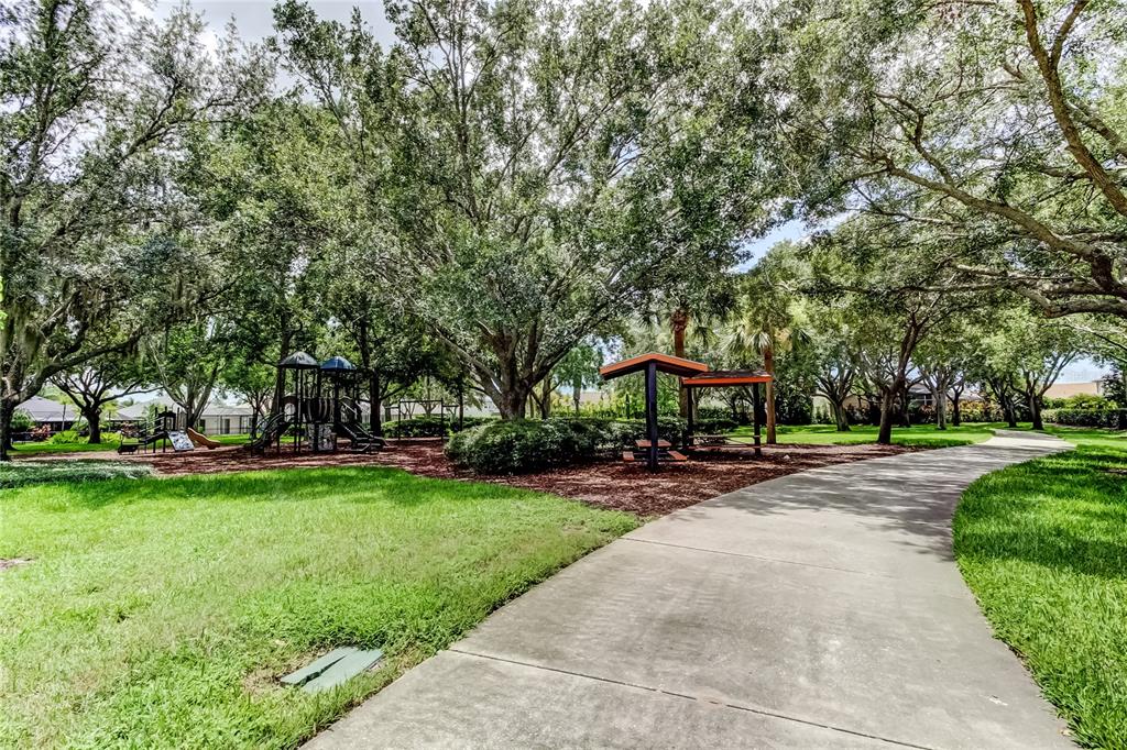 10708 Northridge Court Trinity, FL 34655 - Photo 54 of 58 a front view of a house with a yard and trees