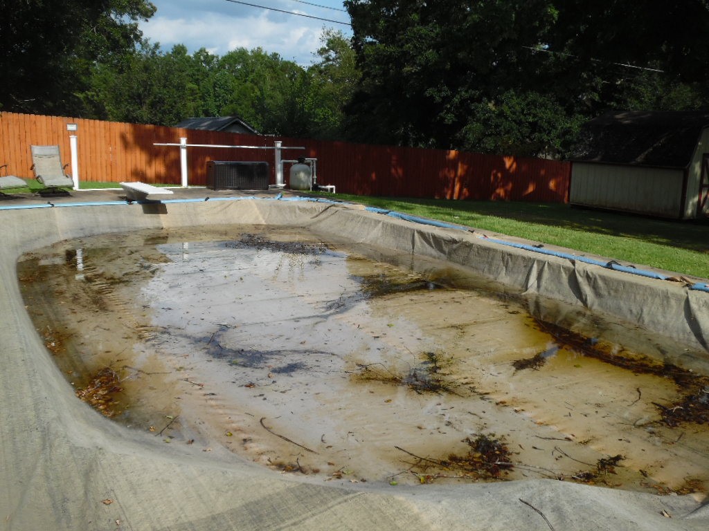 718 North Fishtrap Road Easley, SC 29640 - Photo 8 of 20