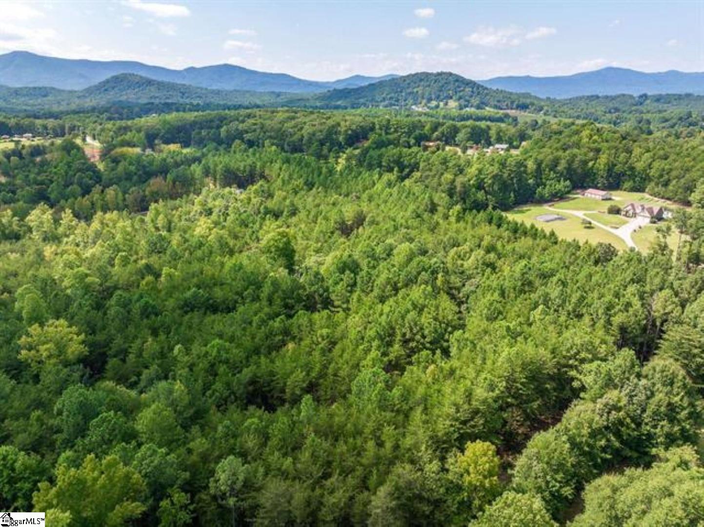 0 Mountainview Road Landrum, SC 29356 - Photo 3 of 12