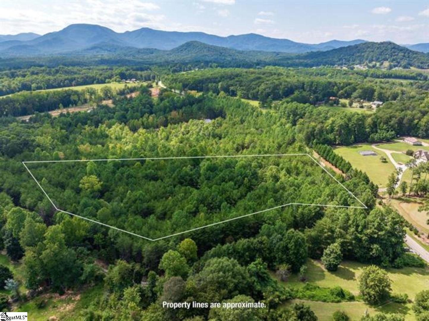 0 Mountainview Road Landrum, SC 29356 - Photo 8 of 12