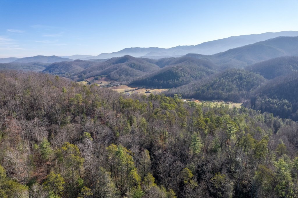 6 Henry Town Road Sevierville, TN 37876 - Photo 9 of 9