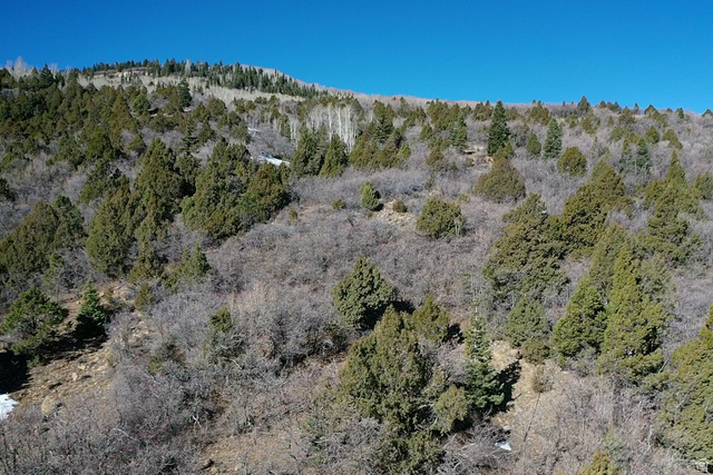 Undisclosed Address Summit, UT 84772 - Photo 13 of 19 View of tree filled area
